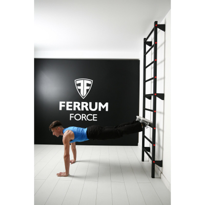 Шведская стенка Ferrum Force F купить в Воронеже
