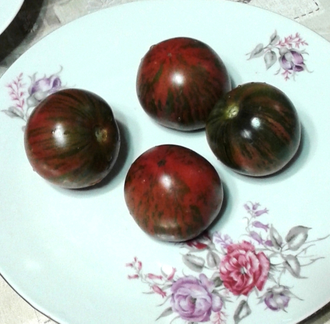 Семена томата Круглый Робин Гном