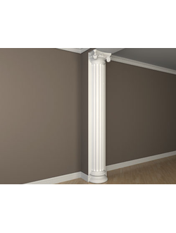 1.10.208 полуколонна европласт