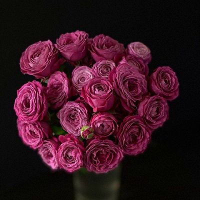 Кустовая пионовидная роза 40 см 11 шт