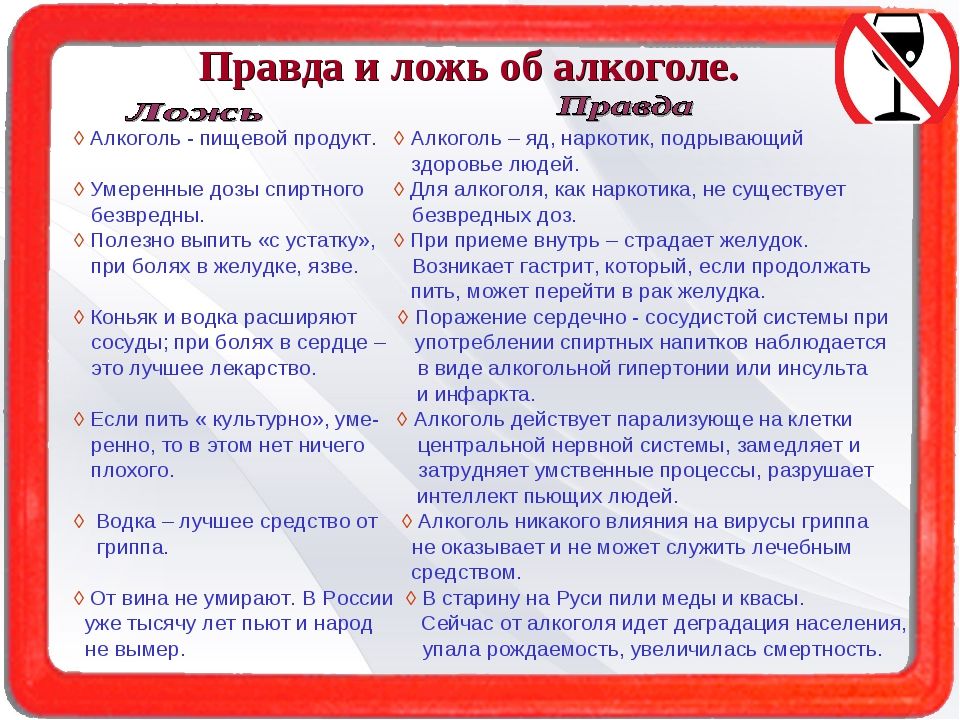Ответственность за алкоголь. Энергетики вред. Состав алкогольных напитков. Можно ли пить в колледже. Можно ли пить в колледже.