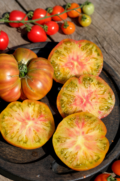 Томат Ярсон 7/1 (Jarson 7/1), 10 шт