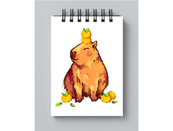 Блокнот Капибара, Kapibara-san №17