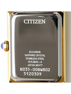 Наручные часы Citizen EW5622-09P