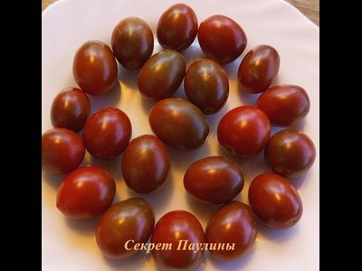 Томат Секрет Паулины (Paulinas Secret)