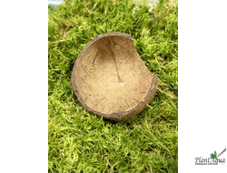 FF Cocos Cava 1/2 - Укрытие декоративное из кожуры кокоса (половинка)