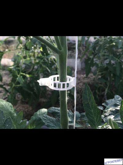 Клипса d-15 (огурец)