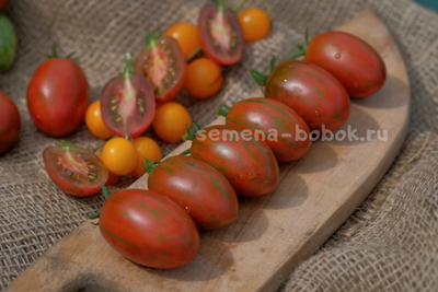 Томат Dwarf Audrey’s Love Tomato (Гном Любовь Одри), 10 шт