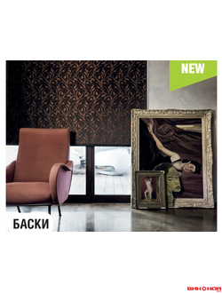 Баски  (Голландия)