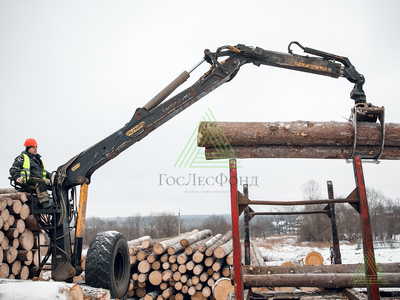 пиловочник тонкомер