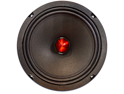 Широкополосная акустическая система Ivolga UP-820