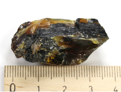 Копал, необработанный "дикий" образец, Индонезия (38*22*12 мм, 5,1 г) №28345