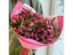 Яркие Альстромерии