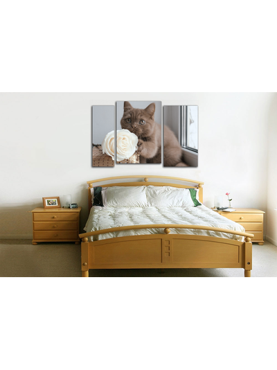 Модульная картина "Кот с розой"