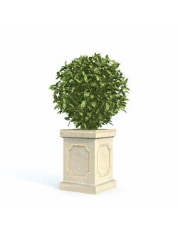 вазоны Вазон 2