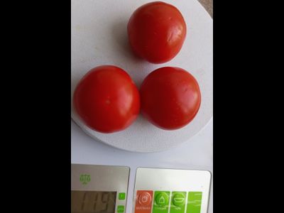 Томат Паста Бернардини (Pasta Bernardini)