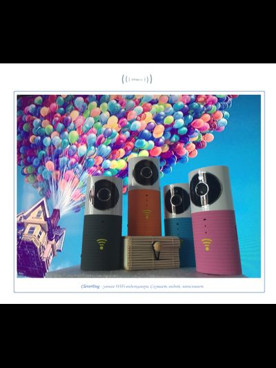 Видеоняня /WiFi видеокамера CleverDog с DVR