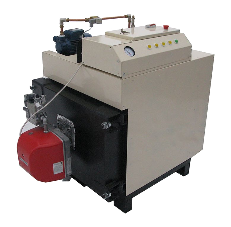 Компактный газовый парогенератор ОРЛИК мощностью 100 кг/ч