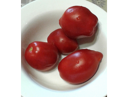 Семена томата Джаннини