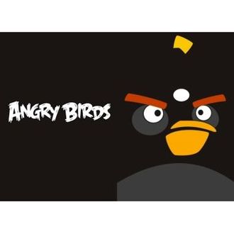 Обложка для паспорта Angry Birds черная птица