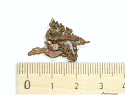 Медь самородная, коллекционный образец, Казахстан (26*20*5 мм, вес: 2,6 г) №21939