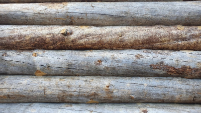 Бревно Кело диаметр 44 см, длина 6 м