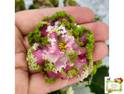 МТ-Античная Брошь (М. Тотиева) 2025 г.