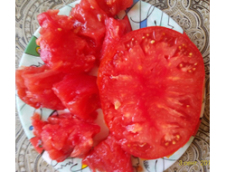 Томат Плоские сердца минусинские