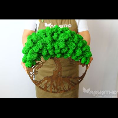 ЖИВАЯ ЭКО-КАРТИНА 1025