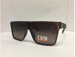 ОЧКИ СОЛНЦЕЗАЩИТНЫЕ  Polar Eagle 07021 C3 58-15-138