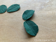 Молд  «Листья шиповника #2» (ELF_decor)