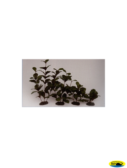 81005-13 Растение шелк. Гигрофила 13см.