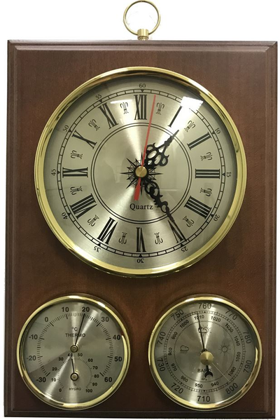 Метеостанция Бриг БМ93301-Ч(ТГ)Б-В