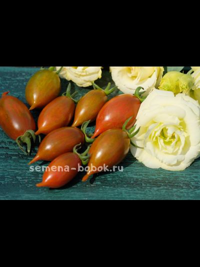 Томат Tiger zebra (Тайгер Зебра), 10 шт