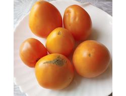Томат Ранний оранжевый Розали (Rosalie’s early orange), США