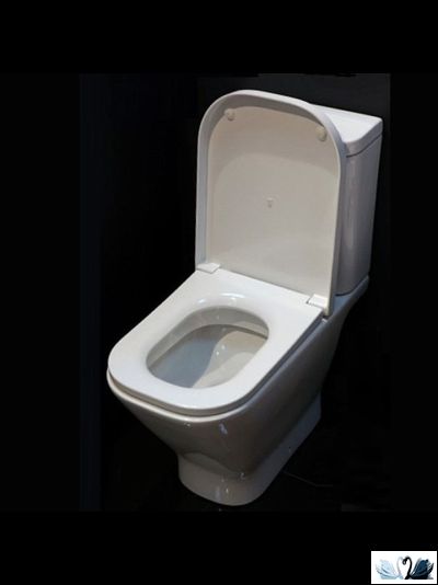 Унитаз с бачком Roca The GAP 342477000 34147000Y напольный горизонтальный выпуск с бачком