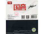 DHS Hurricane 3 Neo Liang Jingkun Forehand black