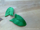 Молд «Вьюнок лист #2» (ELF_decor)