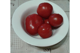 Выстрел, дет.