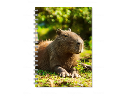 Тетрадь Капибара, Kapibara-san №16