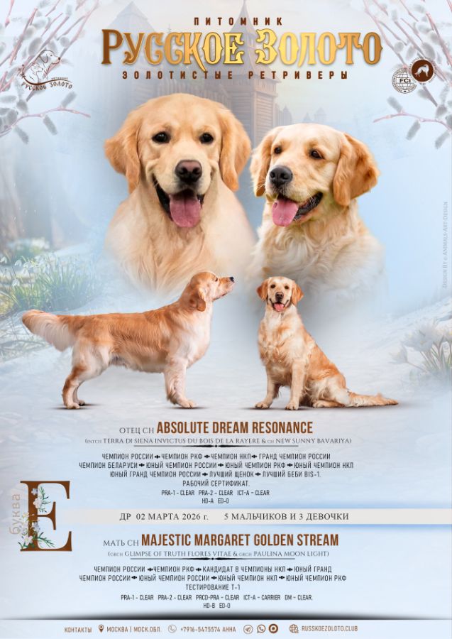 Презентация помета Е-2026