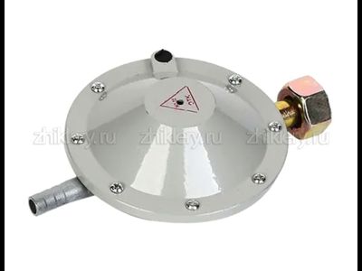 Редуктор газовый РДСГ 1-1.2 "Лягушка"