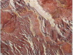 Onyx Kilimanjaro Extra