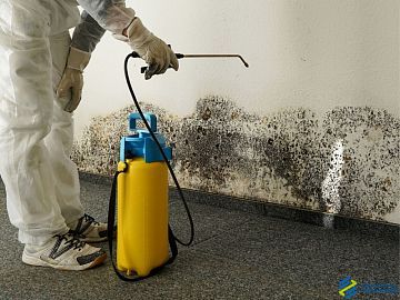 Маноксан БФА (Санация поверхностей от водорослей, грибов, лишайников и мхов)