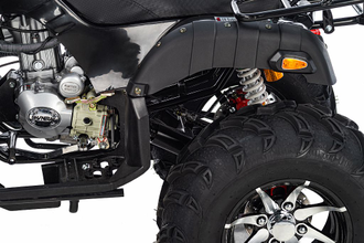 Квадроцикл Raptor Max Pro 300cc (4 1) низкая цена
