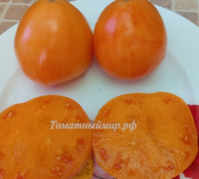 Томат Регби оранжевый (Rugby orange, США)