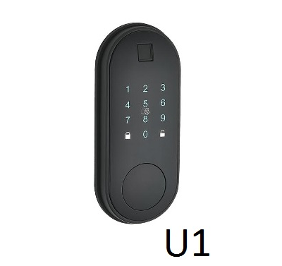 Замки TTLock под заказ