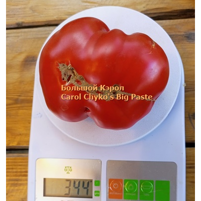 Томат Большая паста Керол Чико (Carol Chyko's Big Paste )