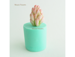 Купить силиконовые молды для цветов в интернет-магазине «Mozza-Flowers ...