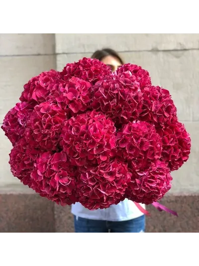 19 нежных гортензий